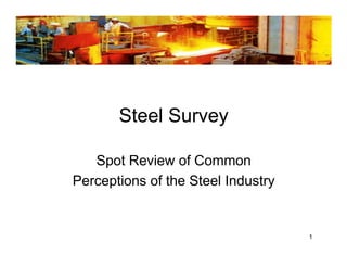 Steel Survey

   Spot Review of Common
Perceptions of the Steel Industry


                                    1