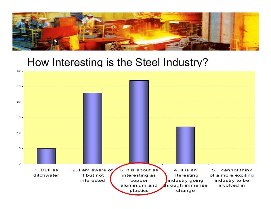Perception of the Steel Industry