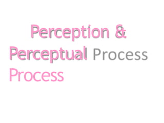 Understanding Perception and the Perceptual Process in Human Behavior ...