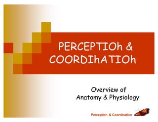 PERCEPTIOh &
COORDIhATIOh
Overview of
Anatomy & Physiology
Perception & Coordination
 
