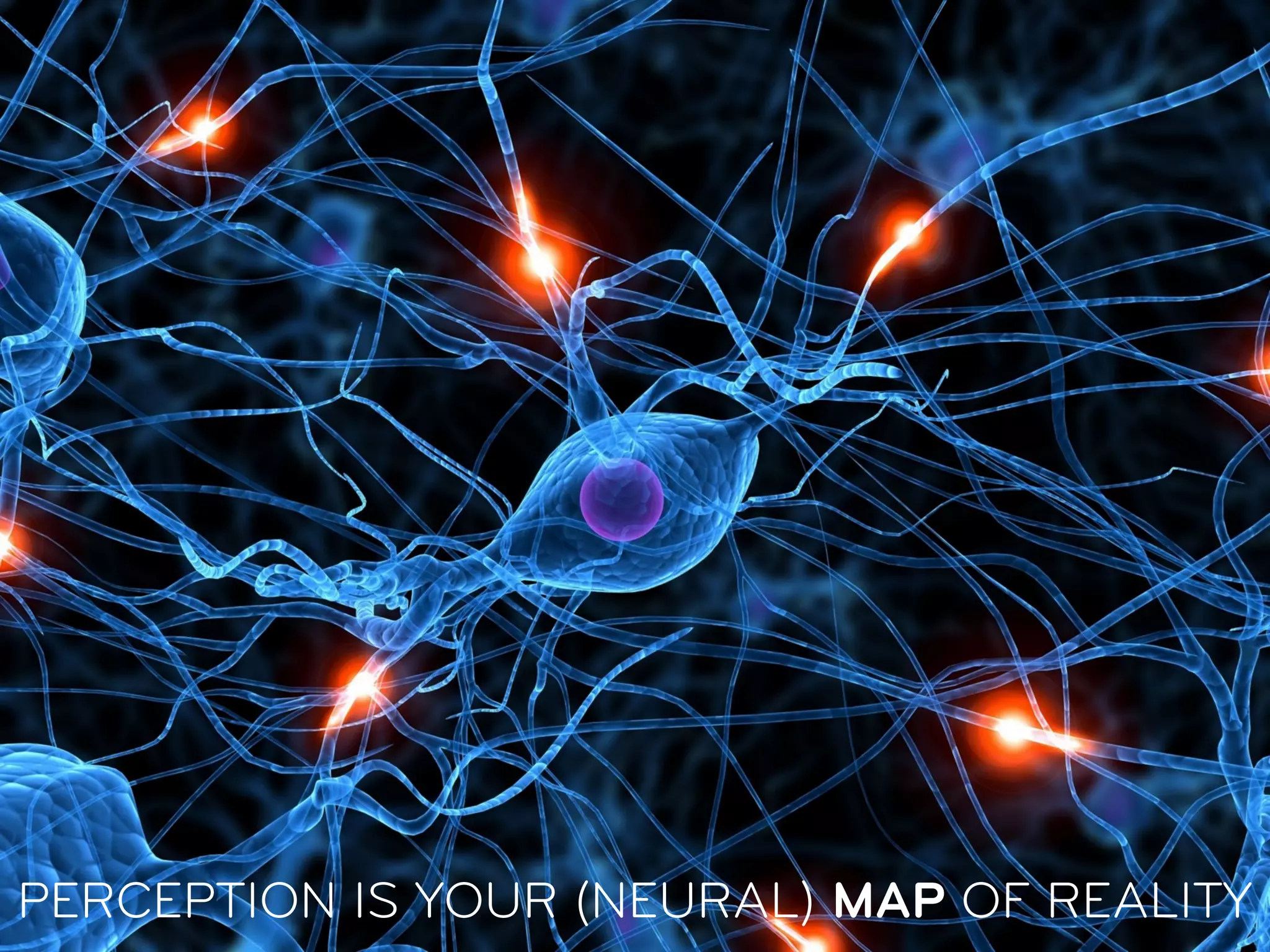 PERCEPTION IS YOUR (NEURAL) MAP OF REALITY
 