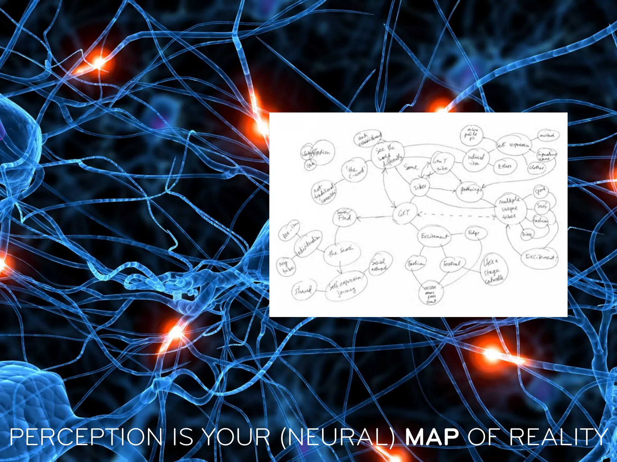 PERCEPTION IS YOUR (NEURAL) MAP OF REALITY
 