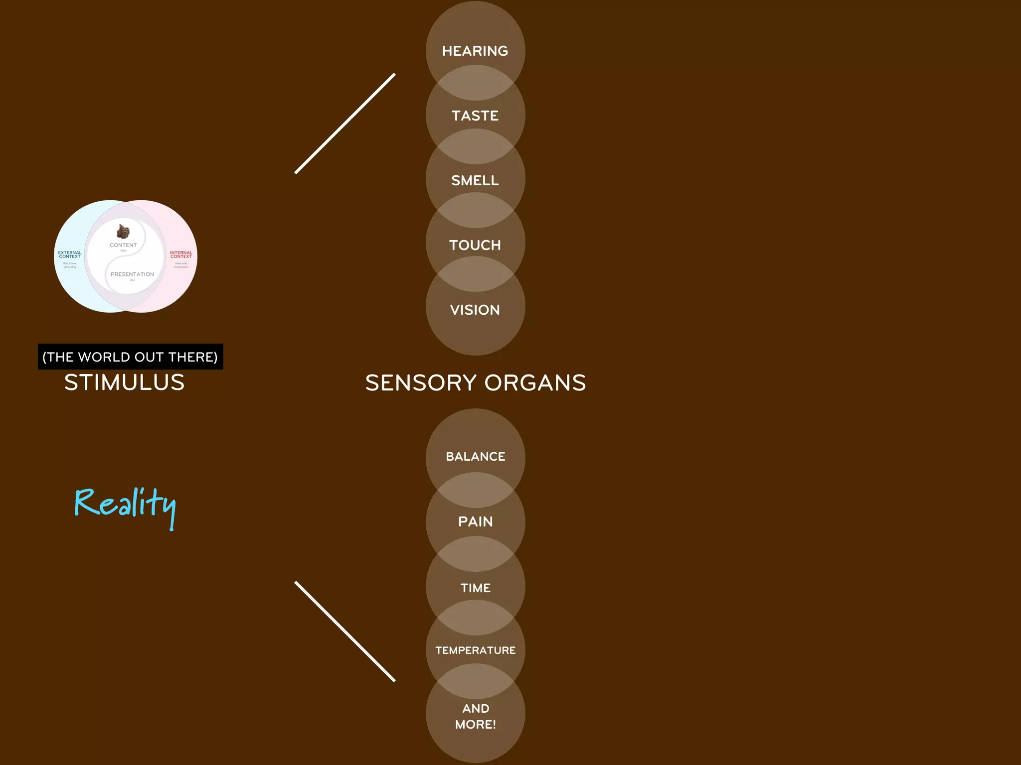 HEARING



                              TASTE



                              SMELL



                             TOUCH



                             VISION


(THE WORLD OUT THERE)

  STIMULUS              SENSORY ORGANS

                             BALANCE



   Reality                     PAIN



                               TIME



                            TEMPERATURE




                               AND
                              MORE!
 