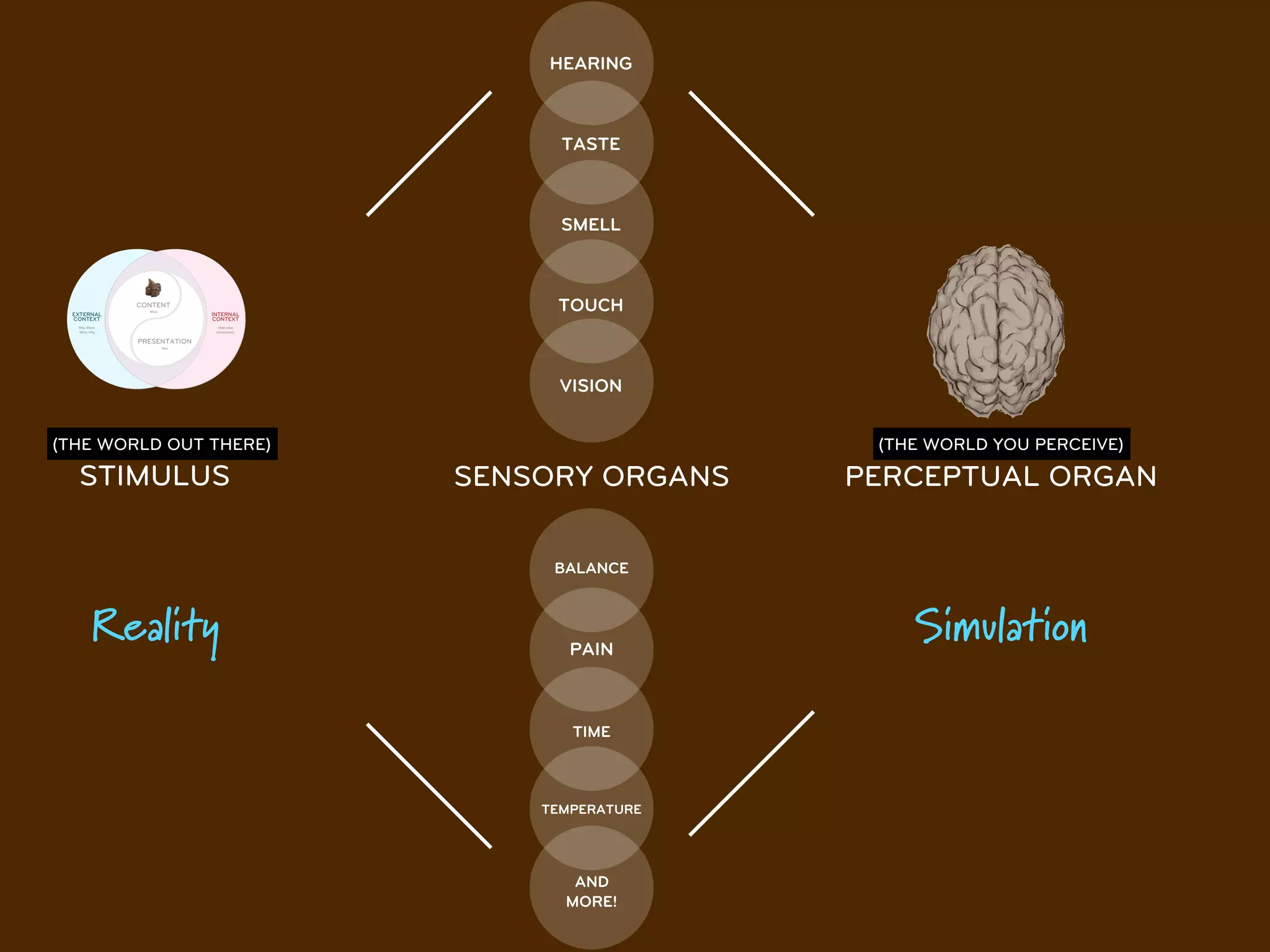 HEARING



                              TASTE



                              SMELL



                             TOUCH



                             VISION


(THE WORLD OUT THERE)                      (THE WORLD YOU PERCEIVE)

  STIMULUS              SENSORY ORGANS    PERCEPTUAL ORGAN

                             BALANCE



   Reality                     PAIN
                                              Simulation

                               TIME



                            TEMPERATURE




                               AND
                              MORE!
 