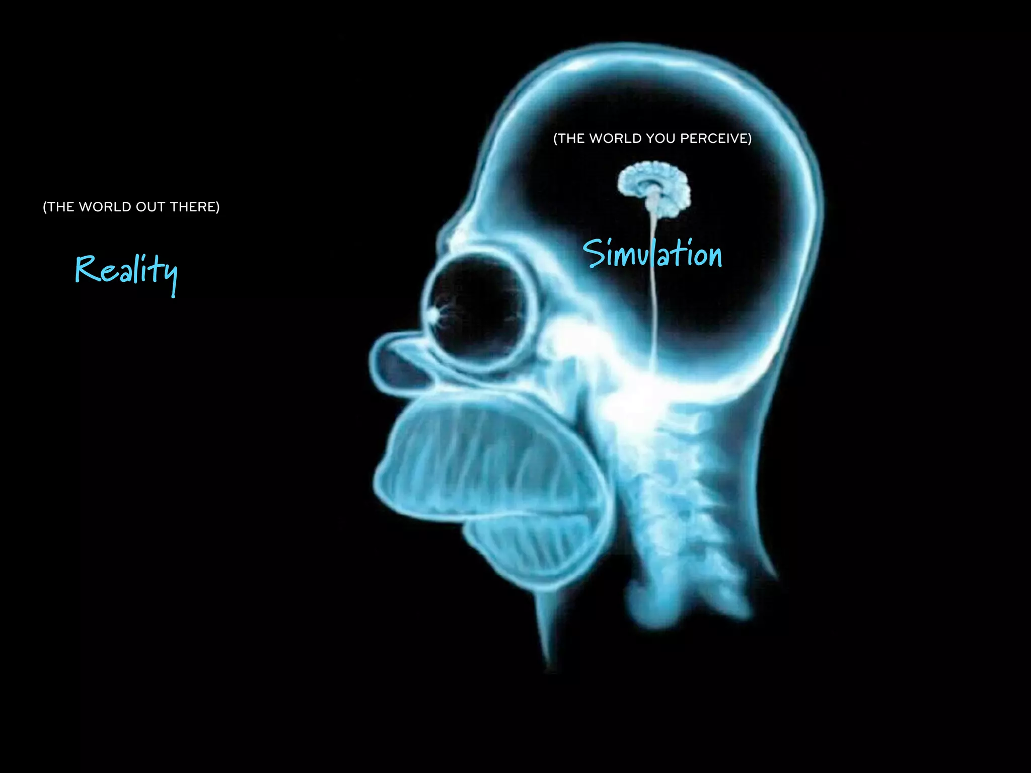 (THE WORLD YOU PERCEIVE)



(THE WORLD OUT THERE)



   Reality                 Simulation
 