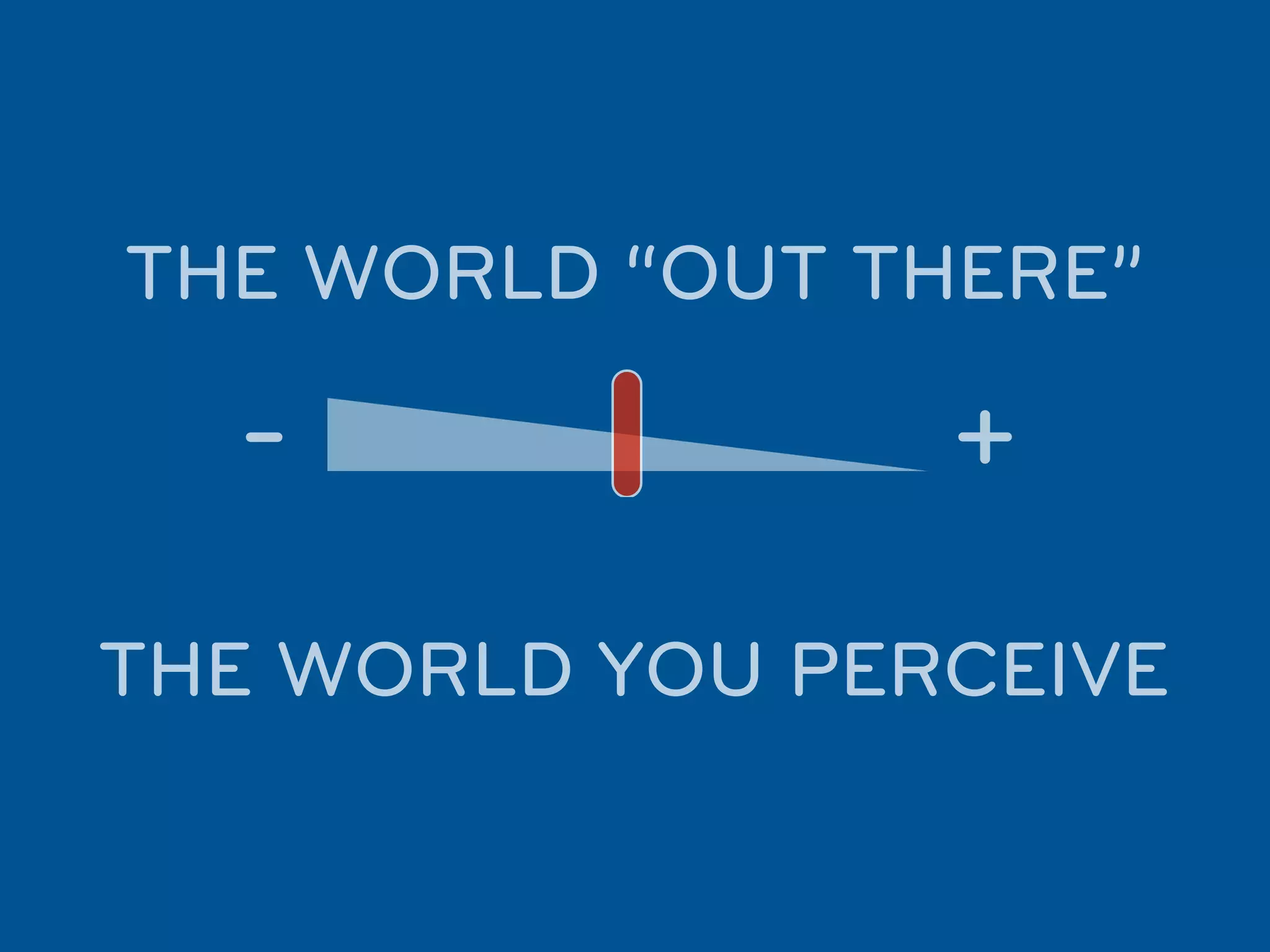 THE WORLD “OUT THERE”

  -              +
THE WORLD YOU PERCEIVE
 