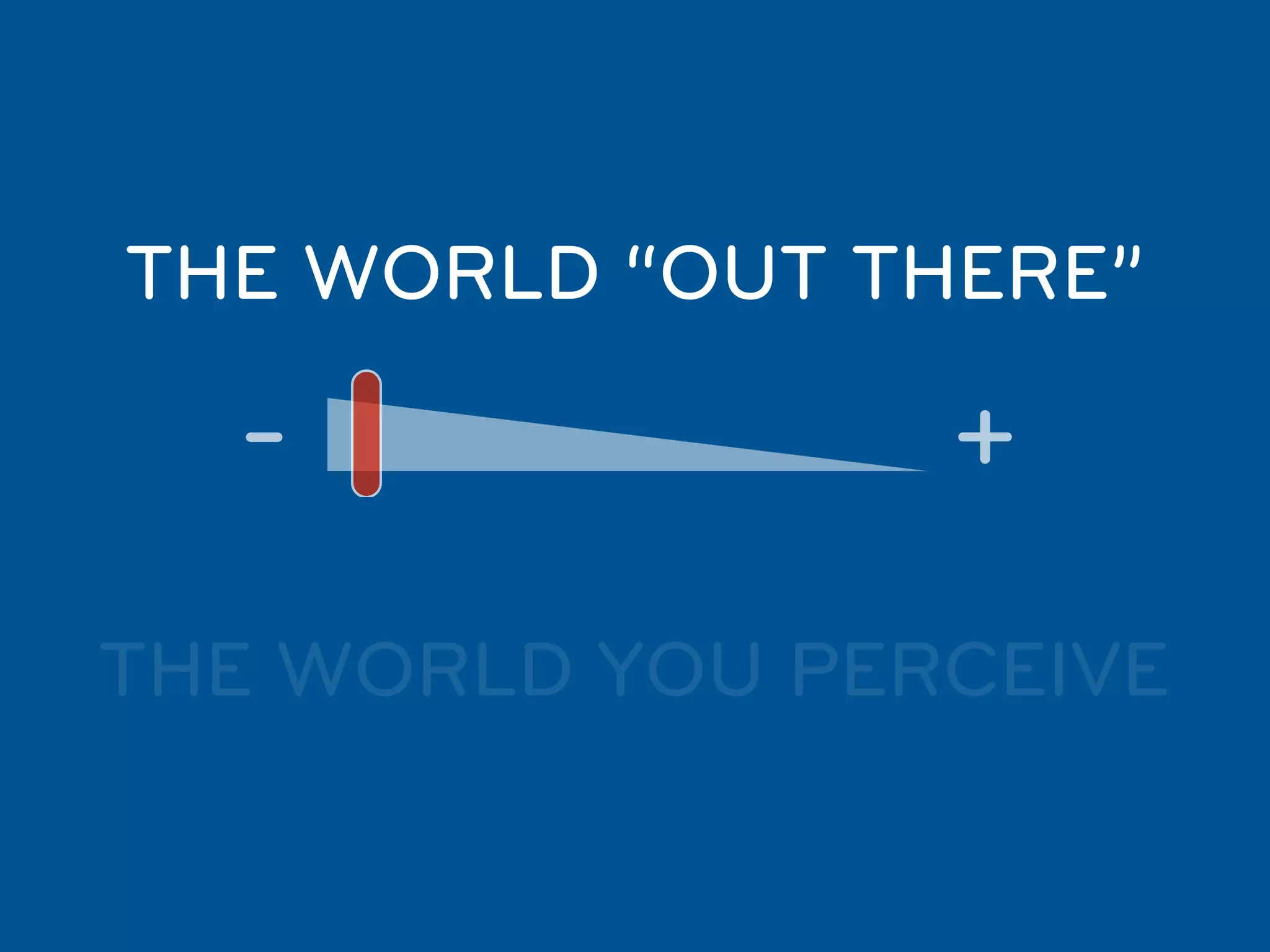 THE WORLD “OUT THERE”

  -              +
THE WORLD YOU PERCEIVE
 
