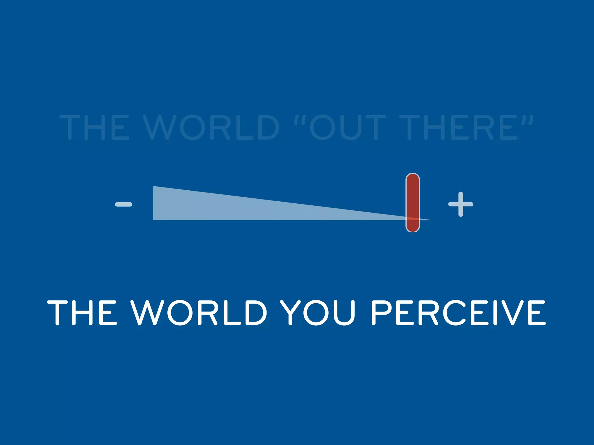 THE WORLD “OUT THERE”

  -              +
THE WORLD YOU PERCEIVE
 