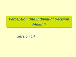 Perception and Individual Decision Making 5- Session 14 