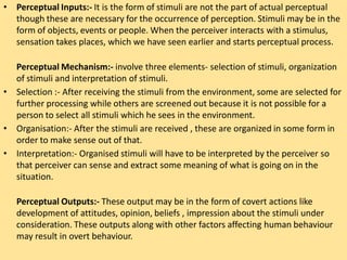perception1-201231084232.pptx