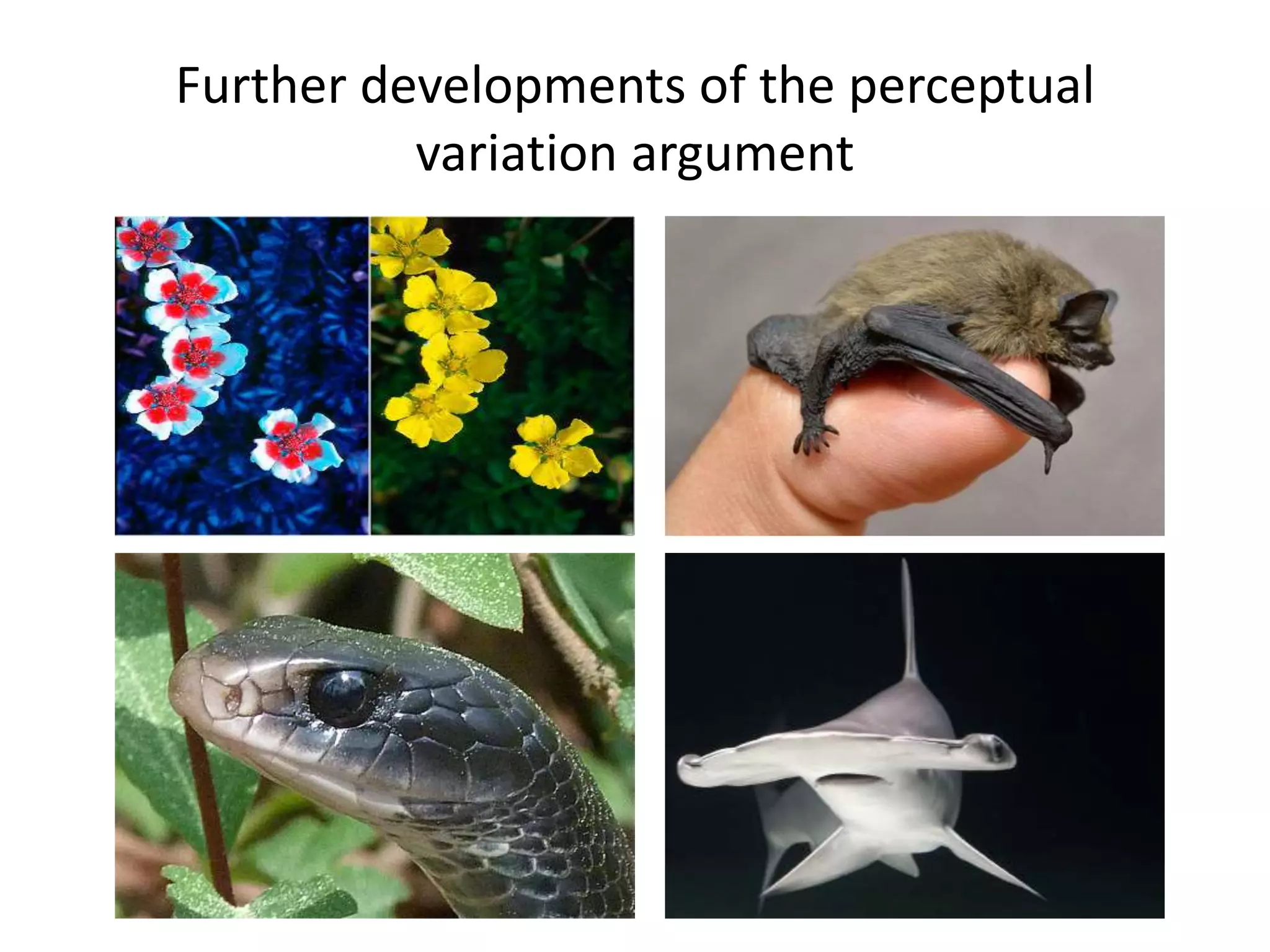 Further developments of the perceptual
variation argument
 