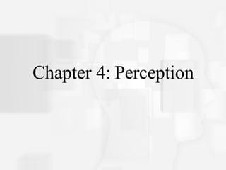 Chapter 4: Perception 