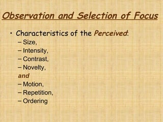 Perception 6 353[1] | PPT