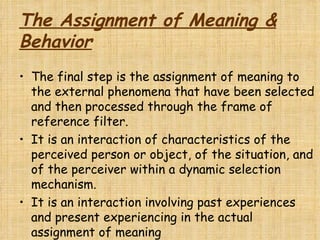 Perception 6 353[1] | PPT