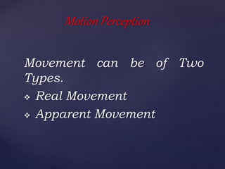 Perception and Attention | PPTX