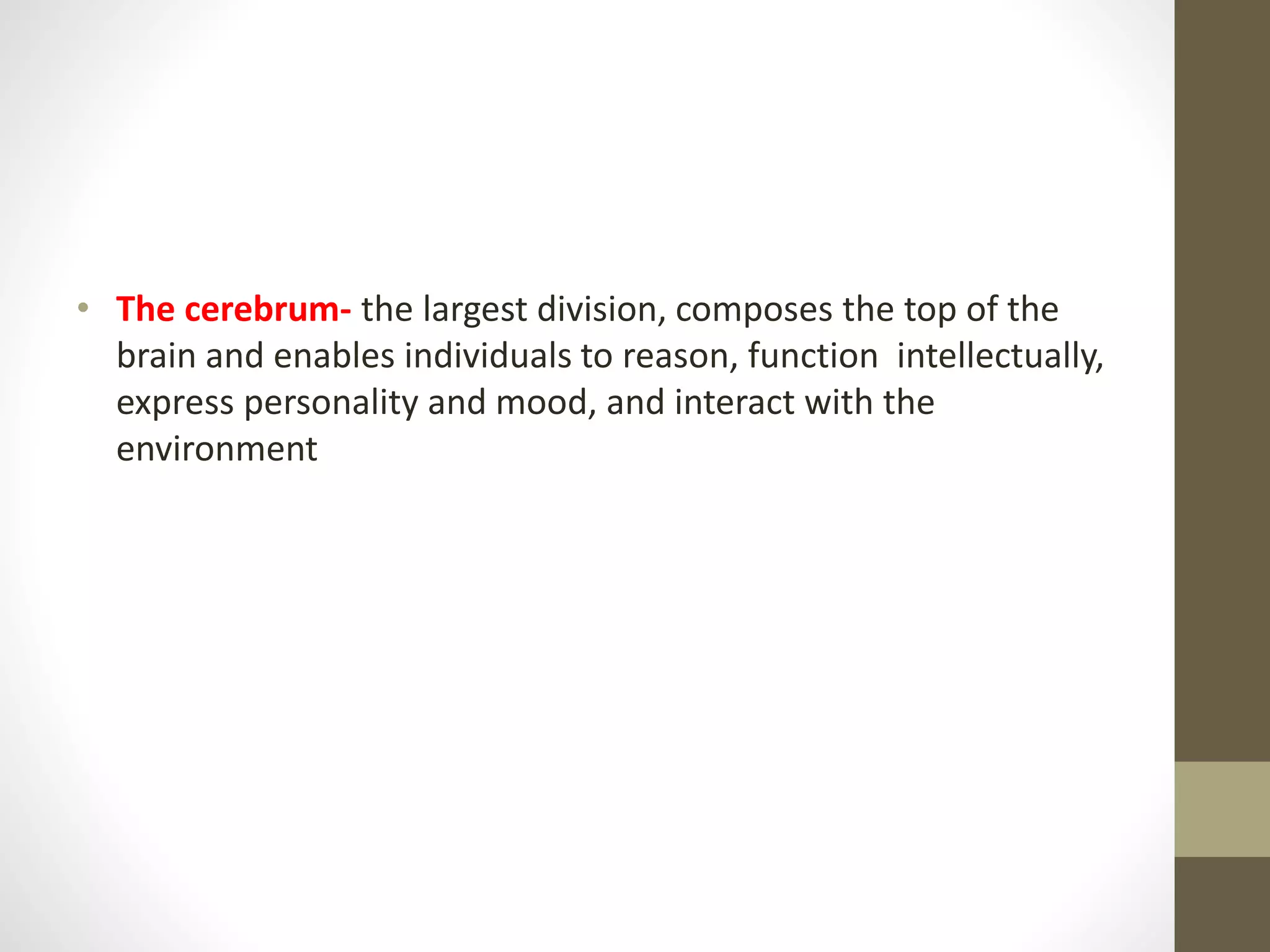• The cerebrum- the largest division, composes the top of the
brain and enables individuals to reason, function intellectually,
express personality and mood, and interact with the
environment
 