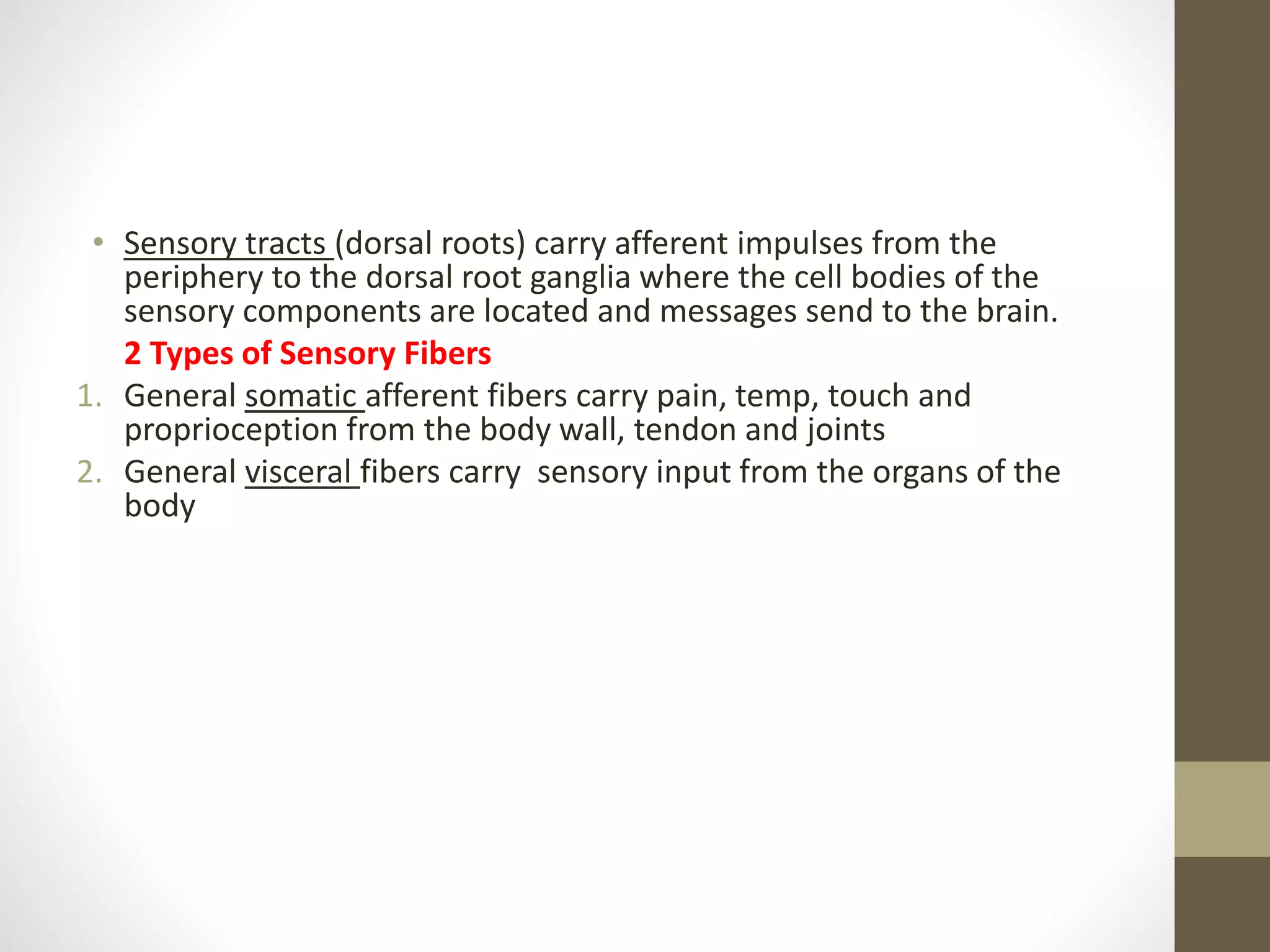 • Sensory tracts (dorsal roots) carry afferent impulses from the
periphery to the dorsal root ganglia where the cell bodies of the
sensory components are located and messages send to the brain.
2 Types of Sensory Fibers
1. General somatic afferent fibers carry pain, temp, touch and
proprioception from the body wall, tendon and joints
2. General visceral fibers carry sensory input from the organs of the
body
 