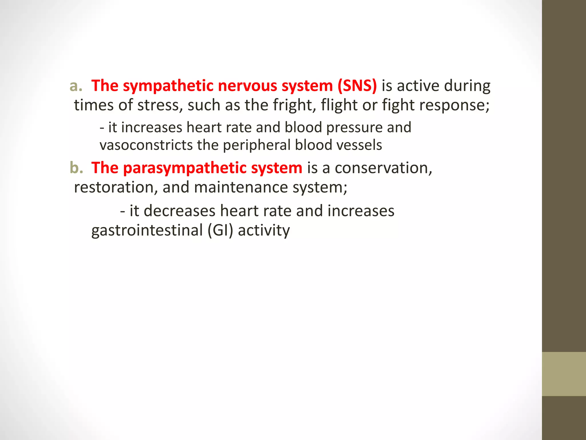 a. The sympathetic nervous system (SNS) is active during
times of stress, such as the fright, flight or fight response;
- it increases heart rate and blood pressure and
vasoconstricts the peripheral blood vessels
b. The parasympathetic system is a conservation,
restoration, and maintenance system;
- it decreases heart rate and increases
gastrointestinal (GI) activity
 