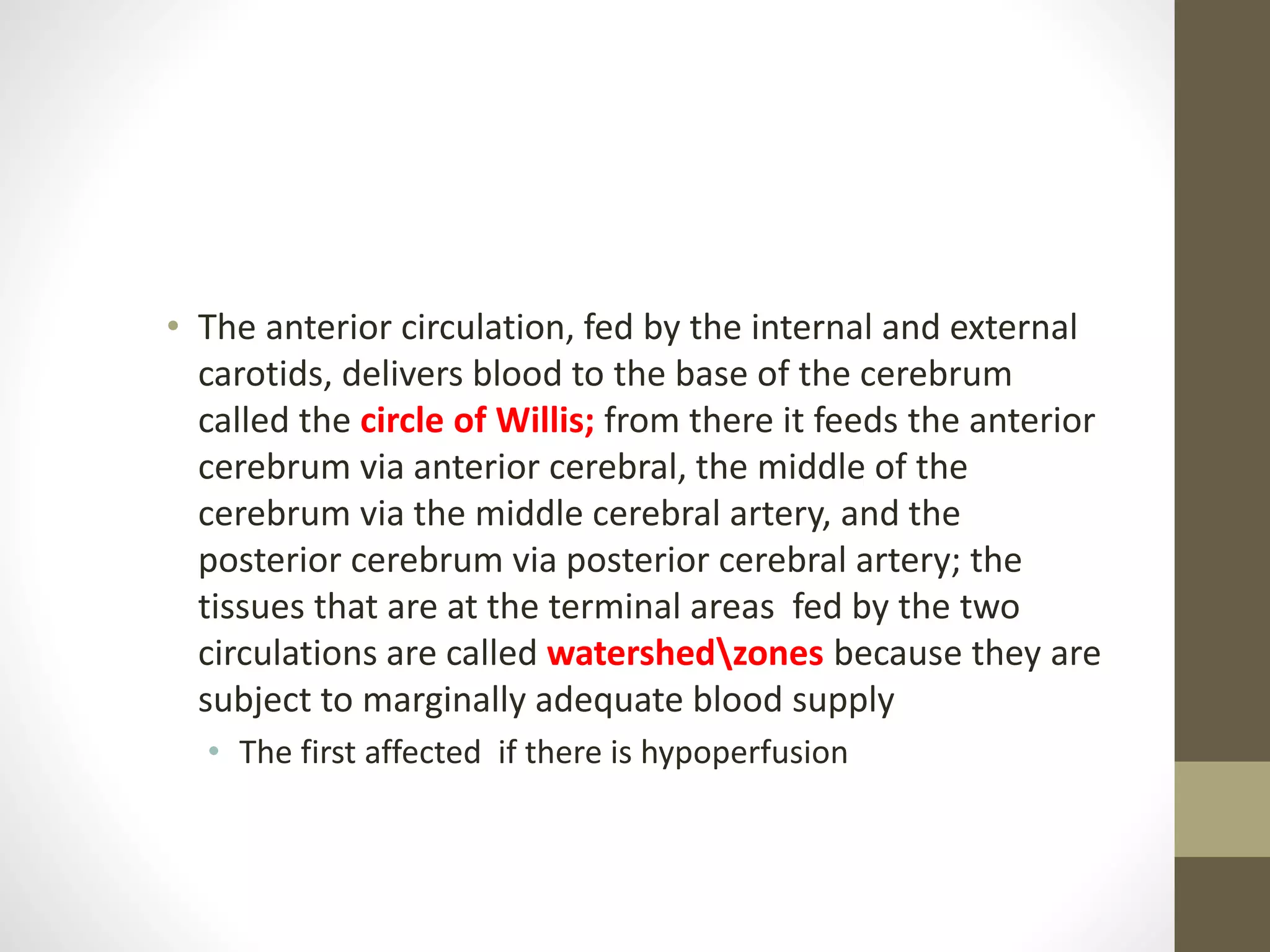• The anterior circulation, fed by the internal and external
carotids, delivers blood to the base of the cerebrum
called the circle of Willis; from there it feeds the anterior
cerebrum via anterior cerebral, the middle of the
cerebrum via the middle cerebral artery, and the
posterior cerebrum via posterior cerebral artery; the
tissues that are at the terminal areas fed by the two
circulations are called watershedzones because they are
subject to marginally adequate blood supply
• The first affected if there is hypoperfusion
 