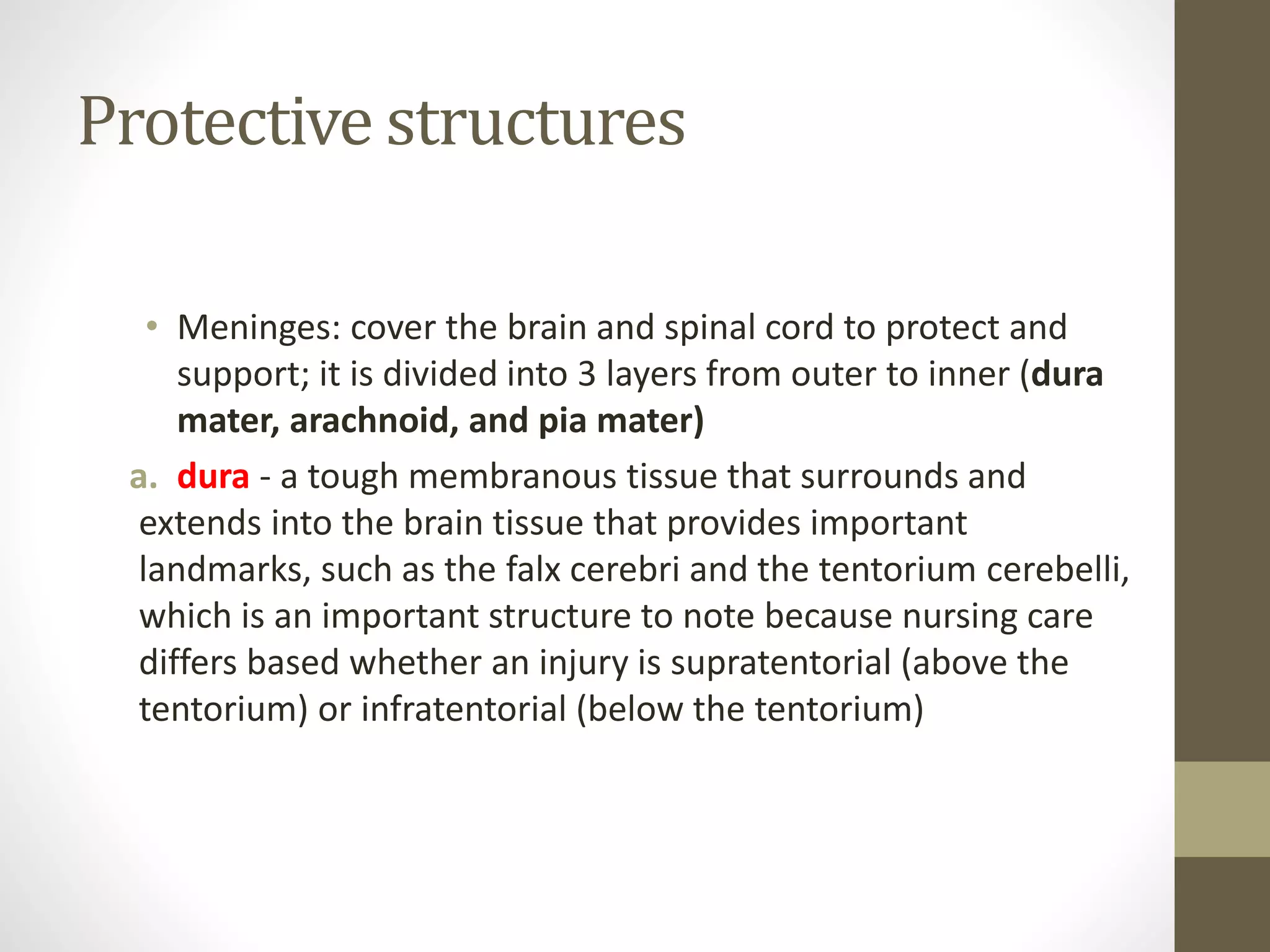 Protective structures
• Meninges: cover the brain and spinal cord to protect and
support; it is divided into 3 layers from outer to inner (dura
mater, arachnoid, and pia mater)
a. dura - a tough membranous tissue that surrounds and
extends into the brain tissue that provides important
landmarks, such as the falx cerebri and the tentorium cerebelli,
which is an important structure to note because nursing care
differs based whether an injury is supratentorial (above the
tentorium) or infratentorial (below the tentorium)
 