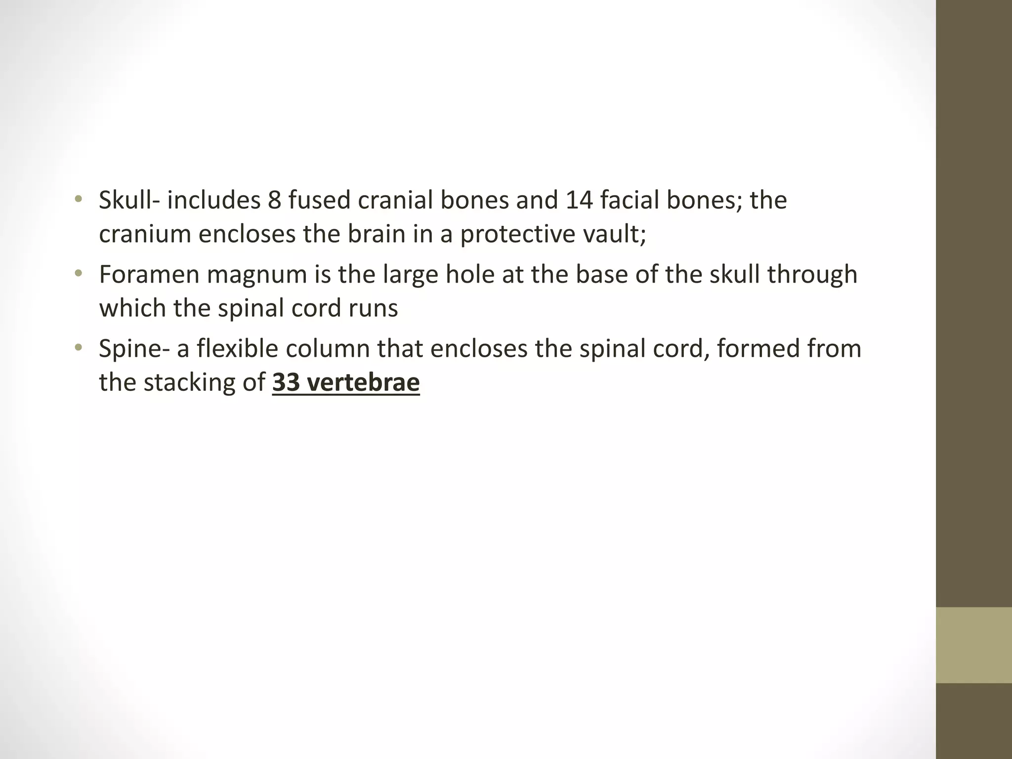 • Skull- includes 8 fused cranial bones and 14 facial bones; the
cranium encloses the brain in a protective vault;
• Foramen magnum is the large hole at the base of the skull through
which the spinal cord runs
• Spine- a flexible column that encloses the spinal cord, formed from
the stacking of 33 vertebrae
 