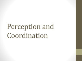 Perception and
Coordination
 