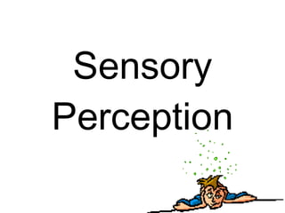 Sensory Perception 
