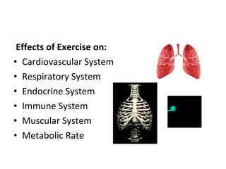 Effects of Exercise on: Cardiovascular System Respiratory System Endocrine System Immune System Muscular System Metabolic Rate 