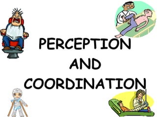 PERCEPTION AND COORDINATION 