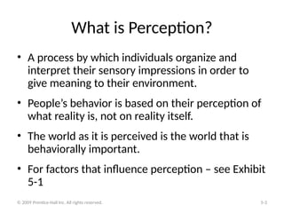 Perception and Individual Decision Making ob13_05.ppt