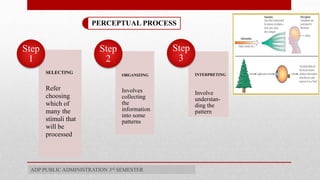 perception and its factors in psychology | PPTX
