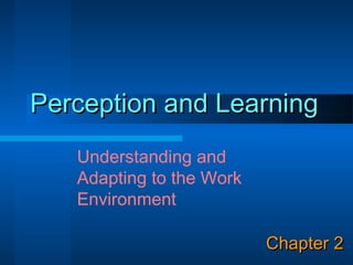 Perception and Learning
   Understanding and
   Adapting to the Work
   Environment

                          Chapter 2
 