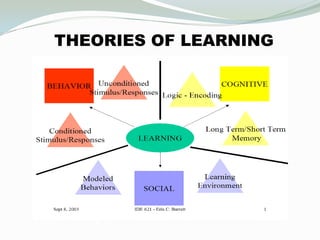 Perception and learning in Organization | PPTX