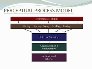 Selecting Seeing Perception and learning in Organization | PPTX