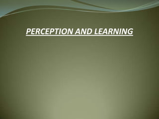 PERCEPTION AND LEARNING
 
