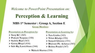 Perception and Learning in Organization Behavior | PPTX