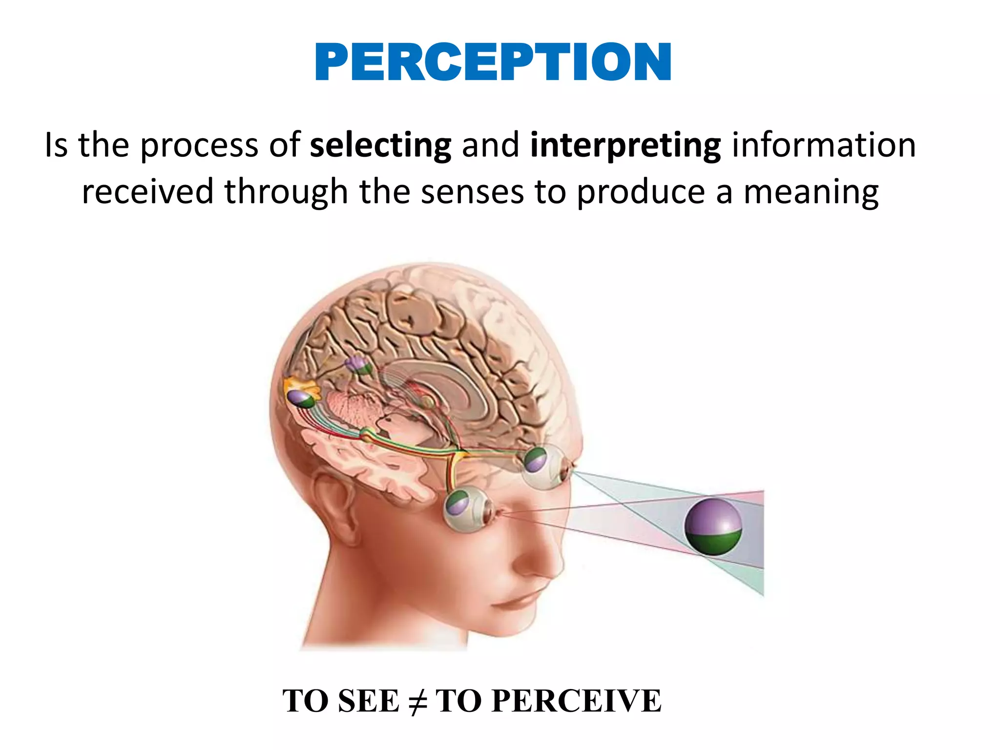 Perception Picture Perception and optical illusions | PPTX