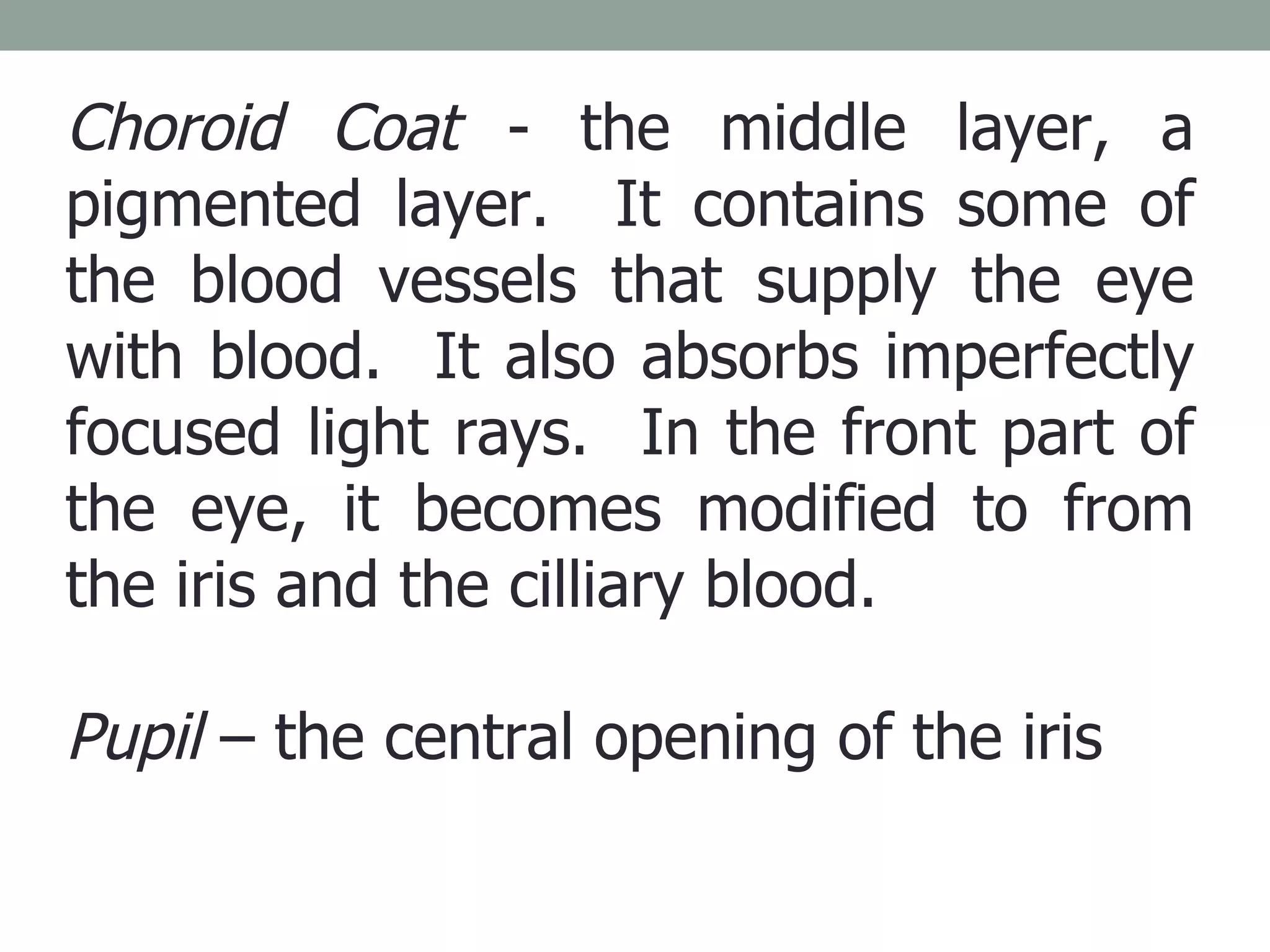 Choroid Coat  - the middle layer, a pigmented layer.  It contains some of the blood vessels that supply the eye with blood.  It also absorbs imperfectly focused light rays.  In the front part of the eye, it becomes modified to from the iris and the cilliary blood.  Pupil  – the central opening of the iris 