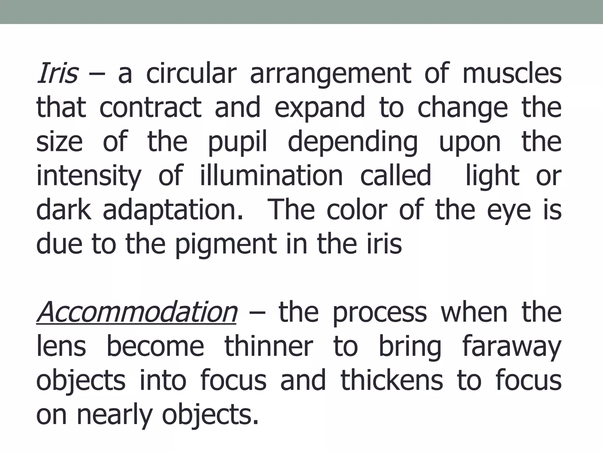 Iris  – a circular arrangement of muscles that contract and expand to change the size of the pupil depending upon the intensity of illumination called  light or dark adaptation.  The color of the eye is due to the pigment in the iris Accommodation  – the process when the lens become thinner to bring faraway objects into focus and thickens to focus on nearly objects. 