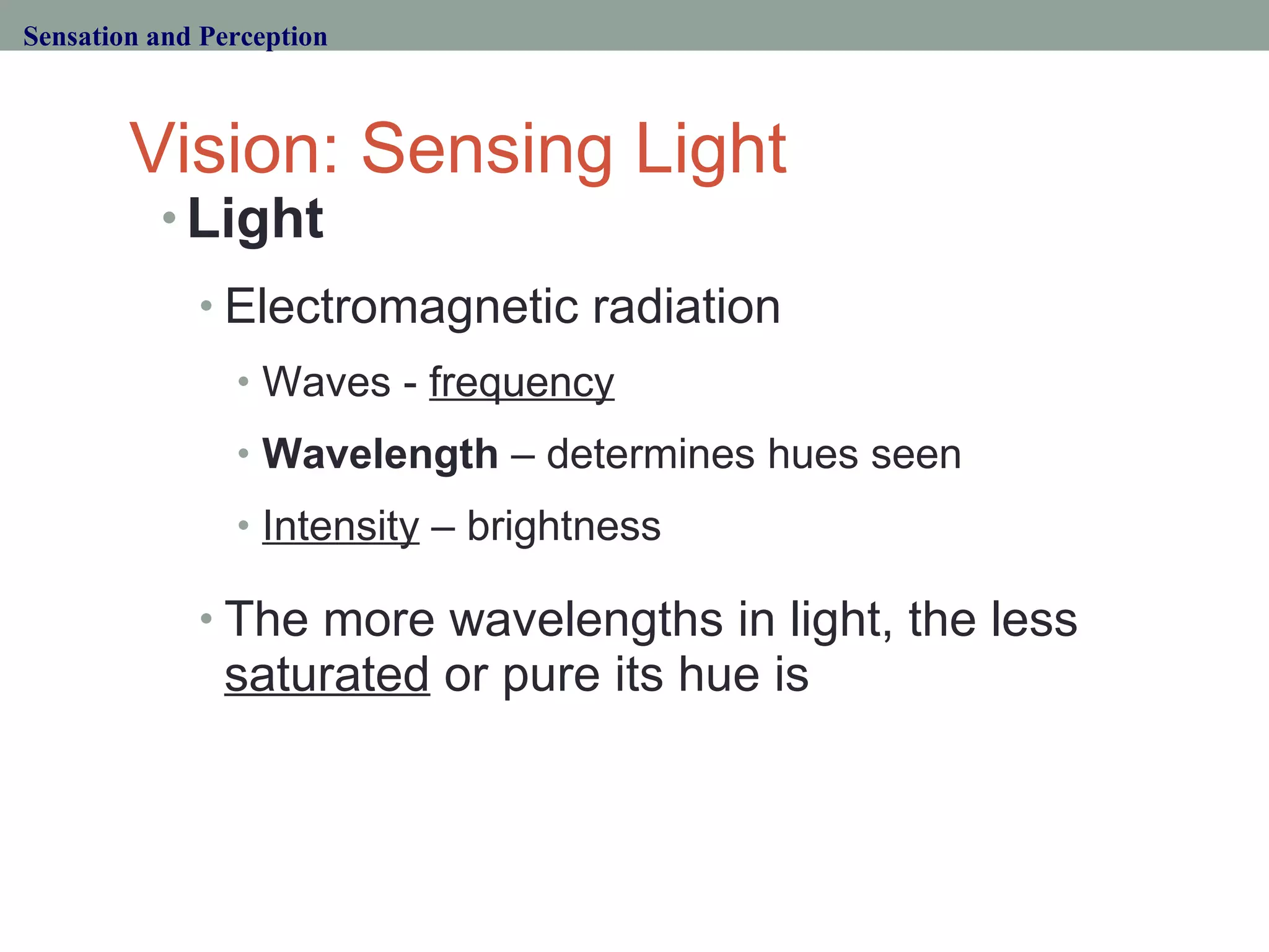 Vision: Sensing Light Light  Electromagnetic radiation Waves -  frequency Wavelength  – determines hues seen Intensity  – brightness The more wavelengths in light, the less  saturated  or pure its hue is Sensation and Perception 
