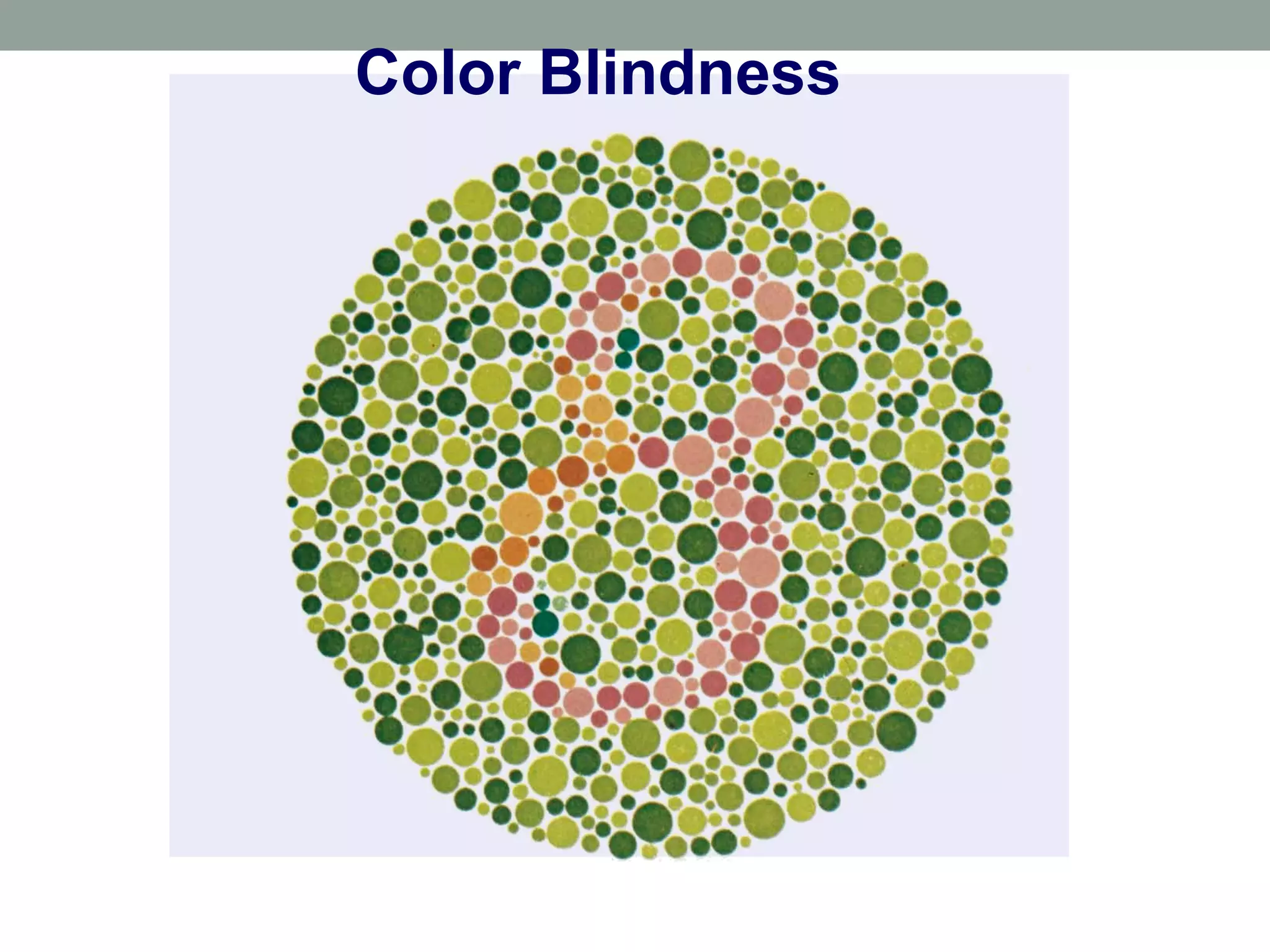 Color Blindness 