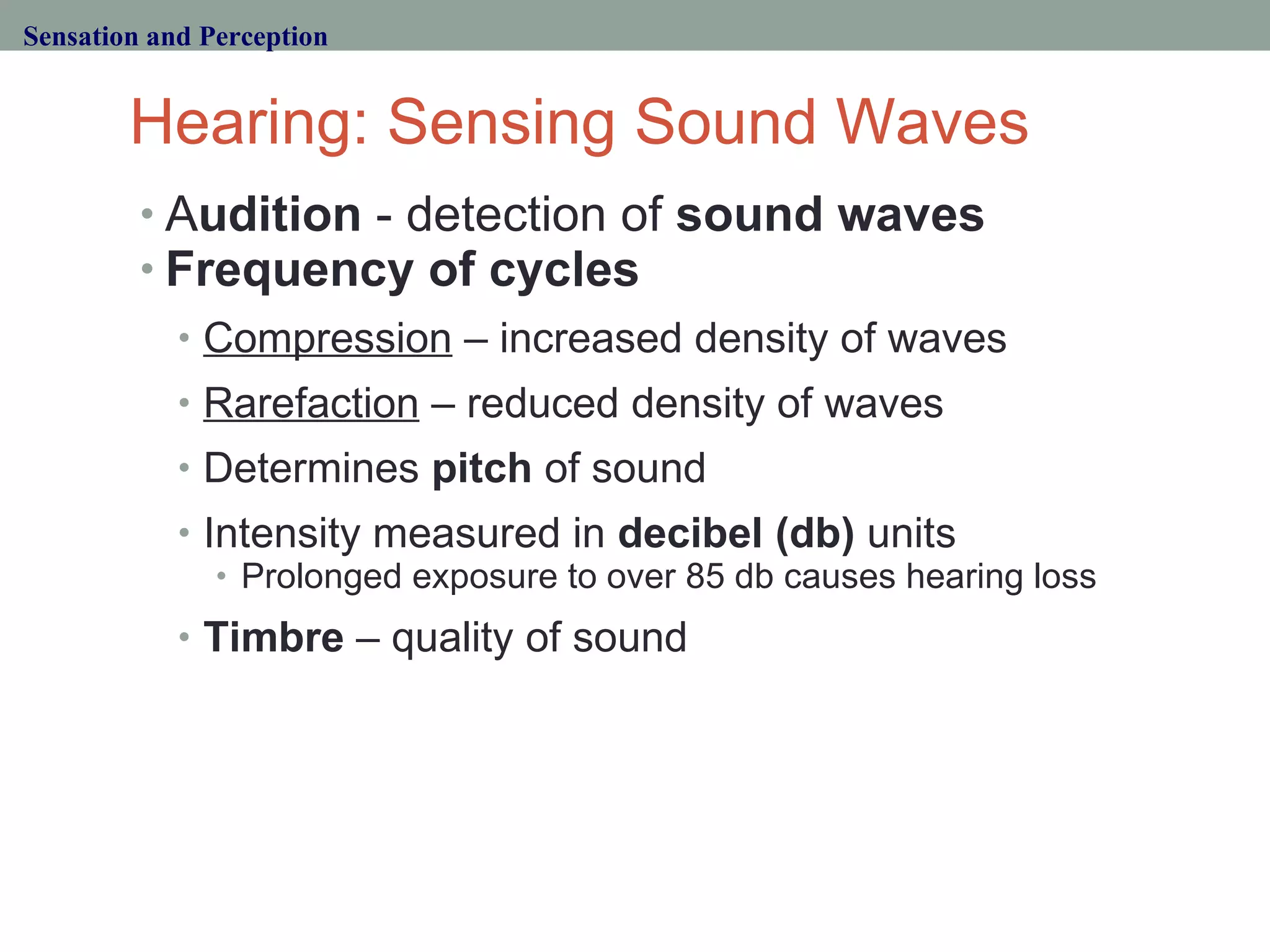 Hearing: Sensing Sound Waves A udition  - detection of  sound waves Frequency of cycles Compression  – increased density of waves Rarefaction  – reduced density of waves Determines  pitch  of sound Intensity measured in  decibel (db)  units Prolonged exposure to over 85 db causes hearing loss Timbre  – quality of sound Sensation and Perception 