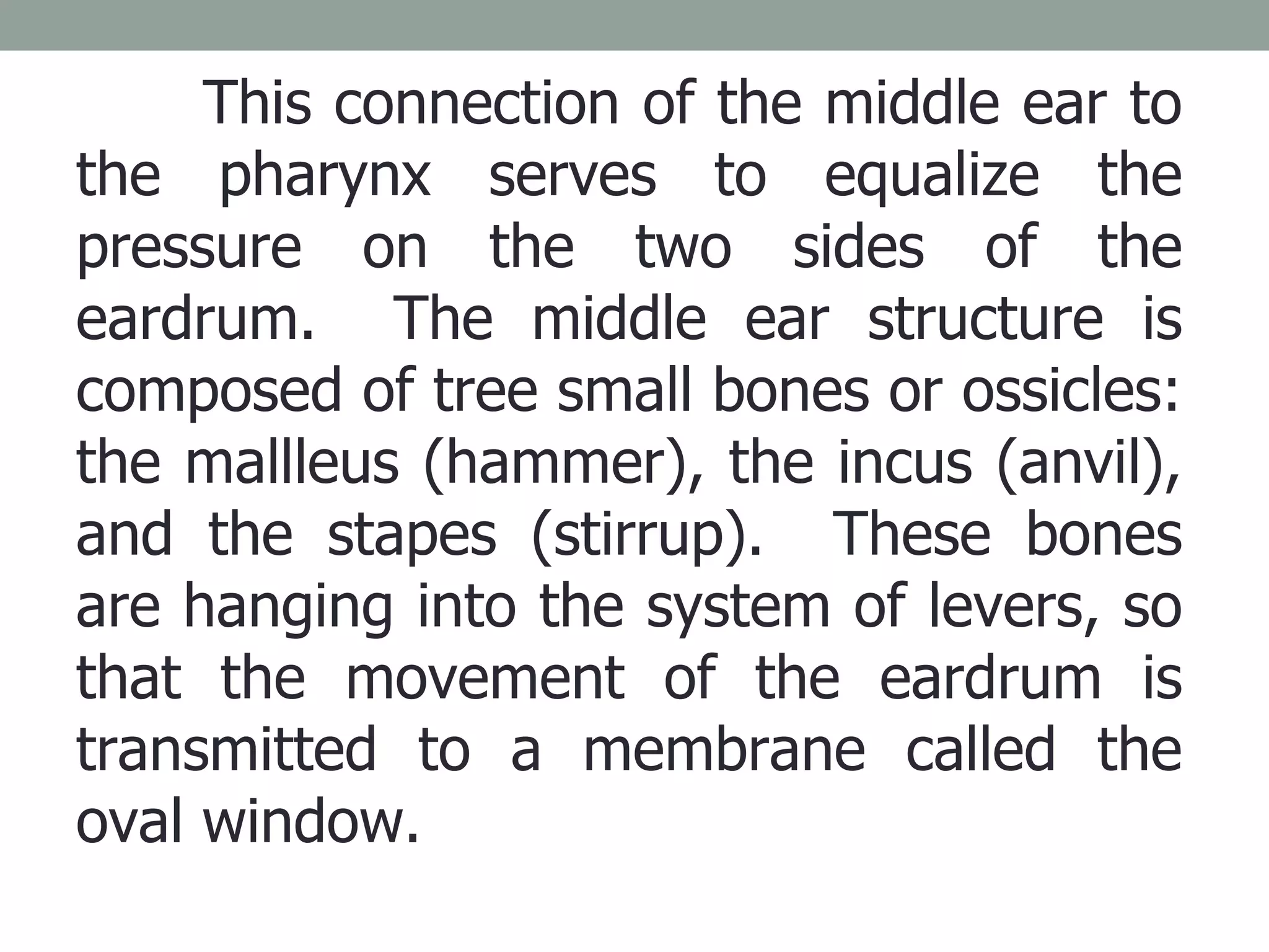 This connection of the middle ear to the pharynx serves to equalize the pressure on the two sides of the eardrum.  The middle ear structure is composed of tree small bones or ossicles: the mallleus (hammer), the incus (anvil), and the stapes (stirrup).  These bones are hanging into the system of levers, so that the movement of the eardrum is transmitted to a membrane called the oval window.  