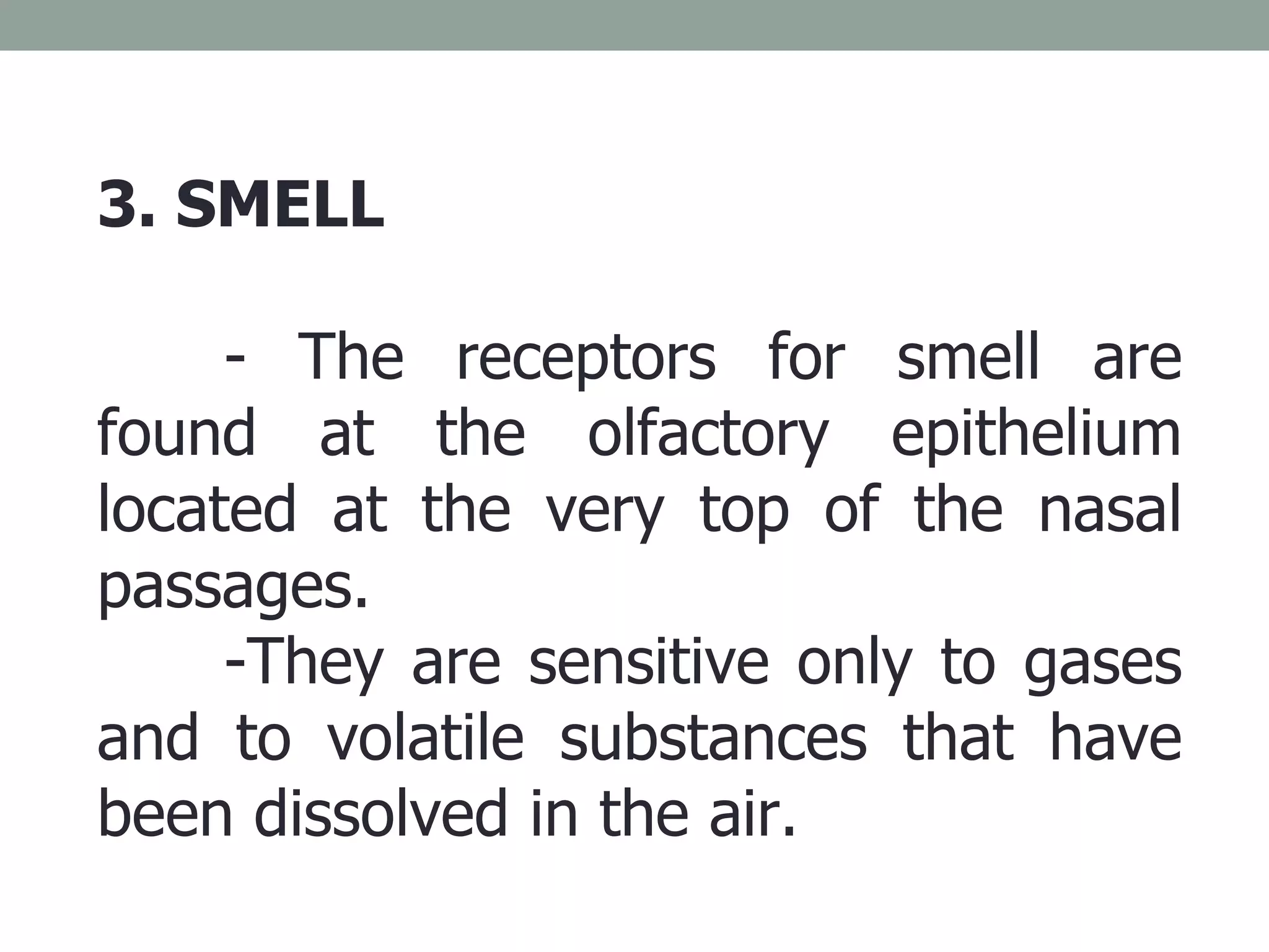 3. SMELL - The receptors for smell are found at the olfactory epithelium located at the very top of the nasal passages.  -They are sensitive only to gases and to volatile substances that have been dissolved in the air.  