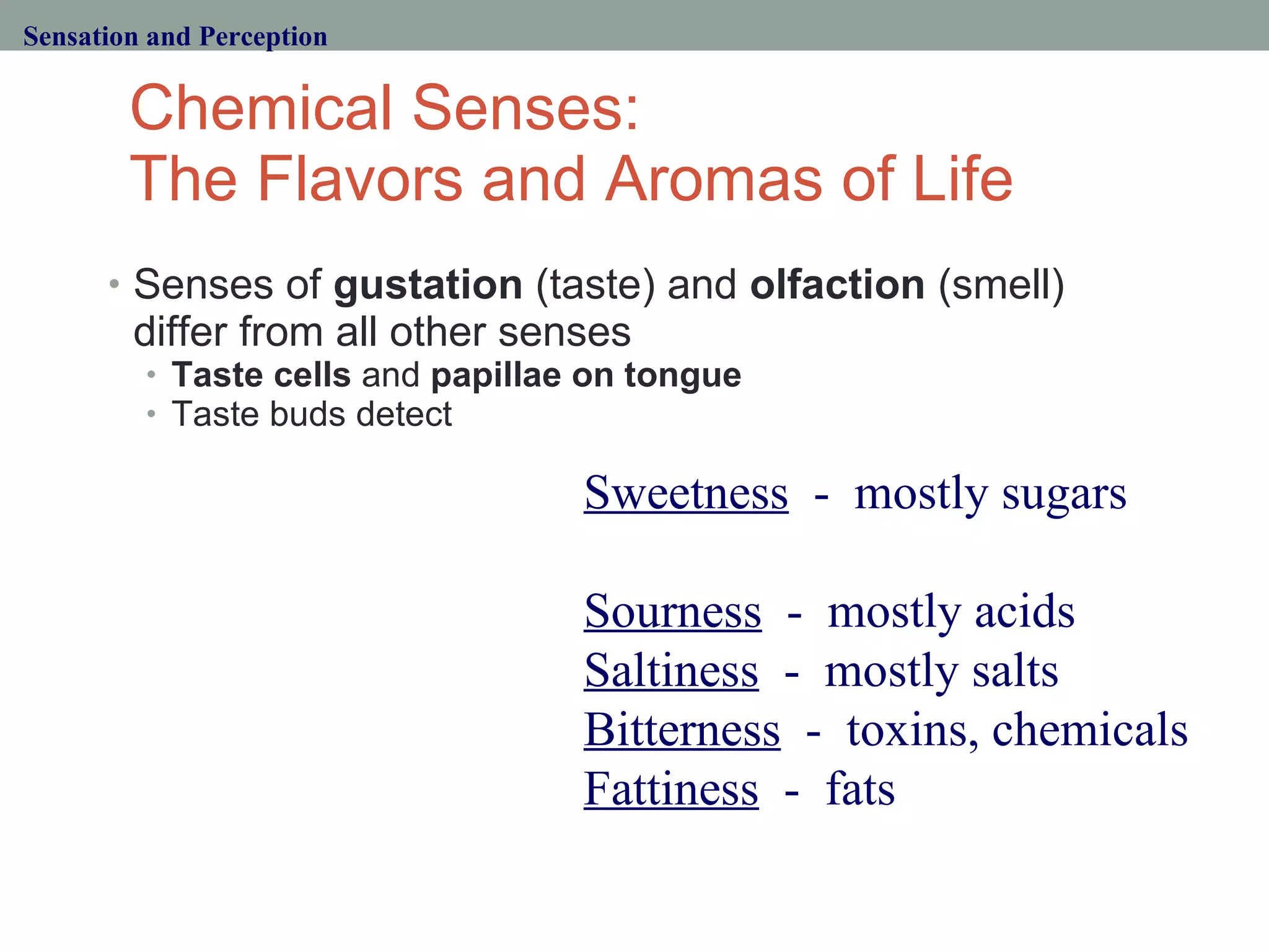 Chemical Senses:  The Flavors and Aromas of Life Senses of  gustation  (taste) and  olfaction  (smell) differ from all other senses Taste cells  and  papillae on tongue Taste buds detect Sensation and Perception Sweetness   -  mostly sugars  Sourness   -  mostly acids Saltiness   -  mostly salts Bitterness   -  toxins, chemicals Fattiness   -  fats 