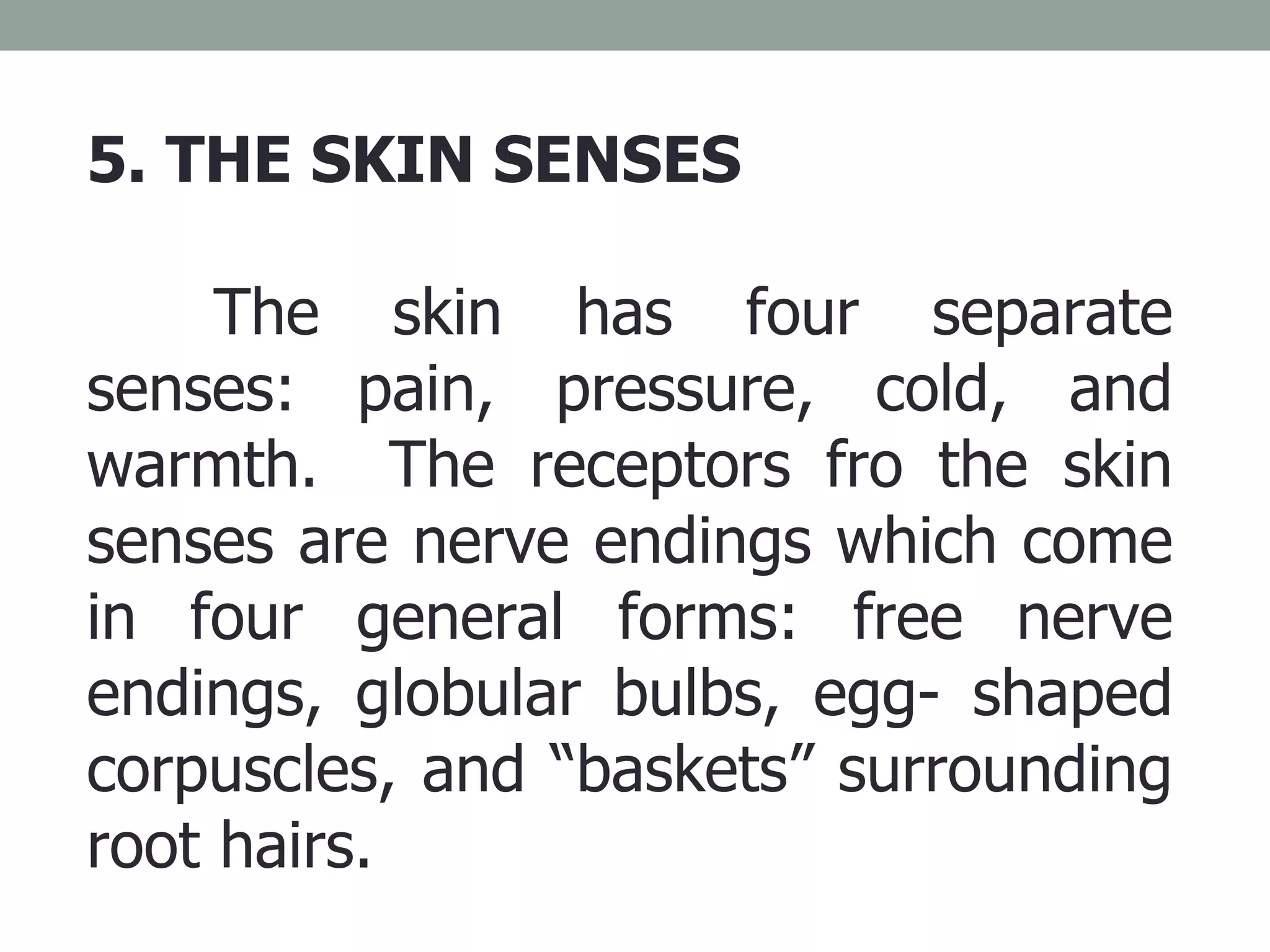 5. THE SKIN SENSES The skin has four separate senses: pain, pressure, cold, and warmth.  The receptors fro the skin senses are nerve endings which come in four general forms: free nerve endings, globular bulbs, egg- shaped corpuscles, and “baskets” surrounding root hairs. 
