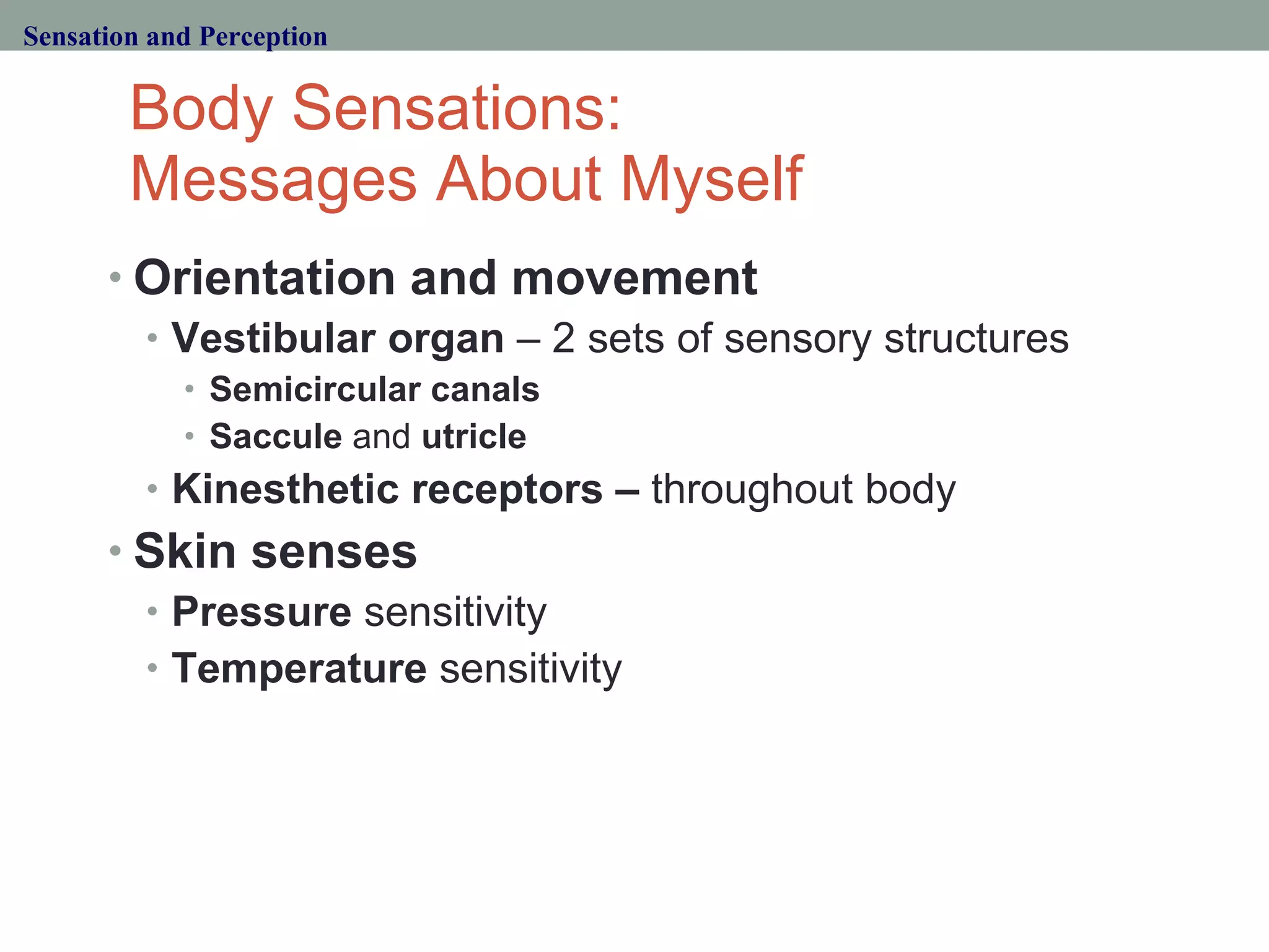 Body Sensations:  Messages About Myself Orientation and movement Vestibular organ  – 2 sets of sensory structures Semicircular canals Saccule  and  utricle Kinesthetic receptors –  throughout body Skin senses Pressure  sensitivity Temperature  sensitivity Sensation and Perception 