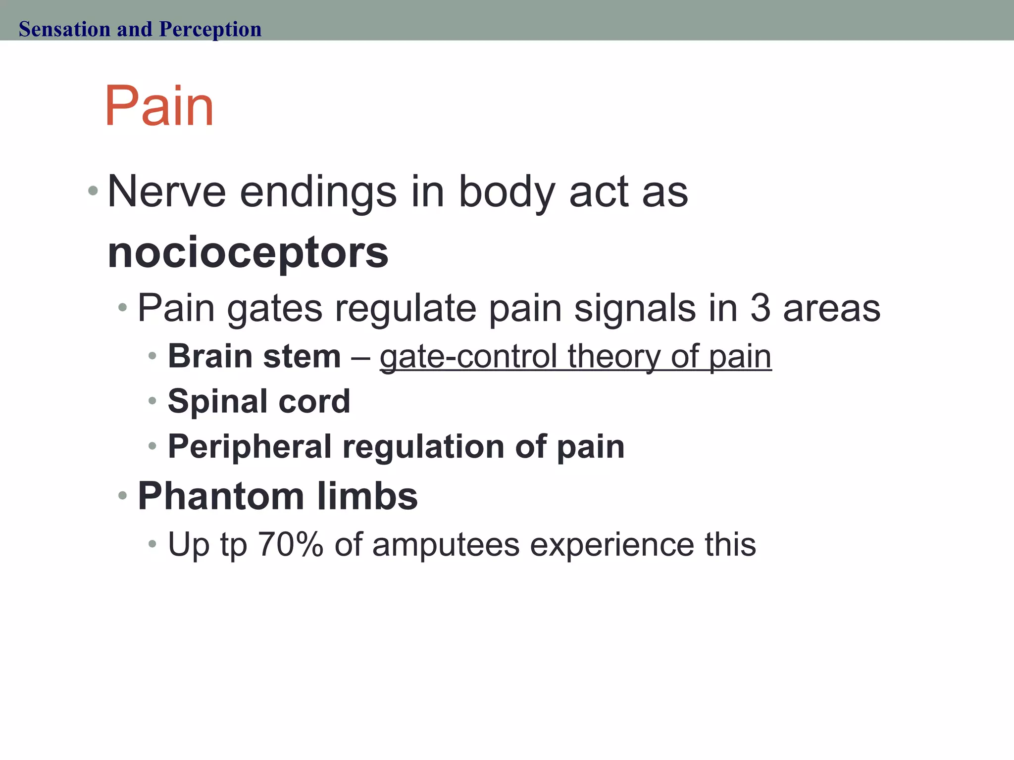 Pain Nerve endings in body act as  nocioceptors Pain gates regulate pain signals in 3 areas Brain stem  –  gate-control theory of pain Spinal cord   Peripheral regulation of pain Phantom limbs Up tp 70% of amputees experience this Sensation and Perception 