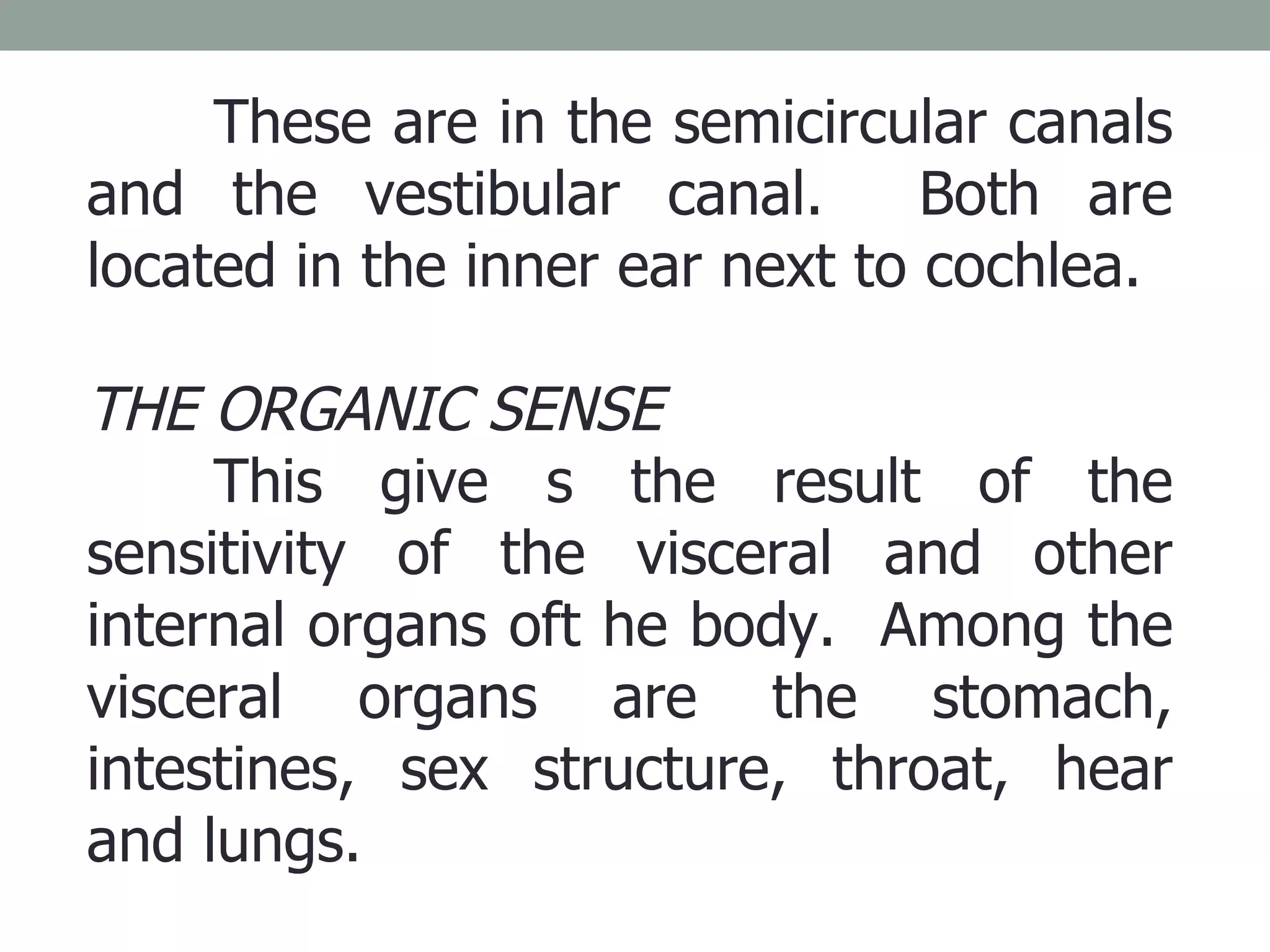 These are in the semicircular canals and the vestibular canal.  Both are located in the inner ear next to cochlea.  THE ORGANIC SENSE This give s the result of the sensitivity of the visceral and other internal organs oft he body.  Among the visceral organs are the stomach, intestines, sex structure, throat, hear and lungs. 
