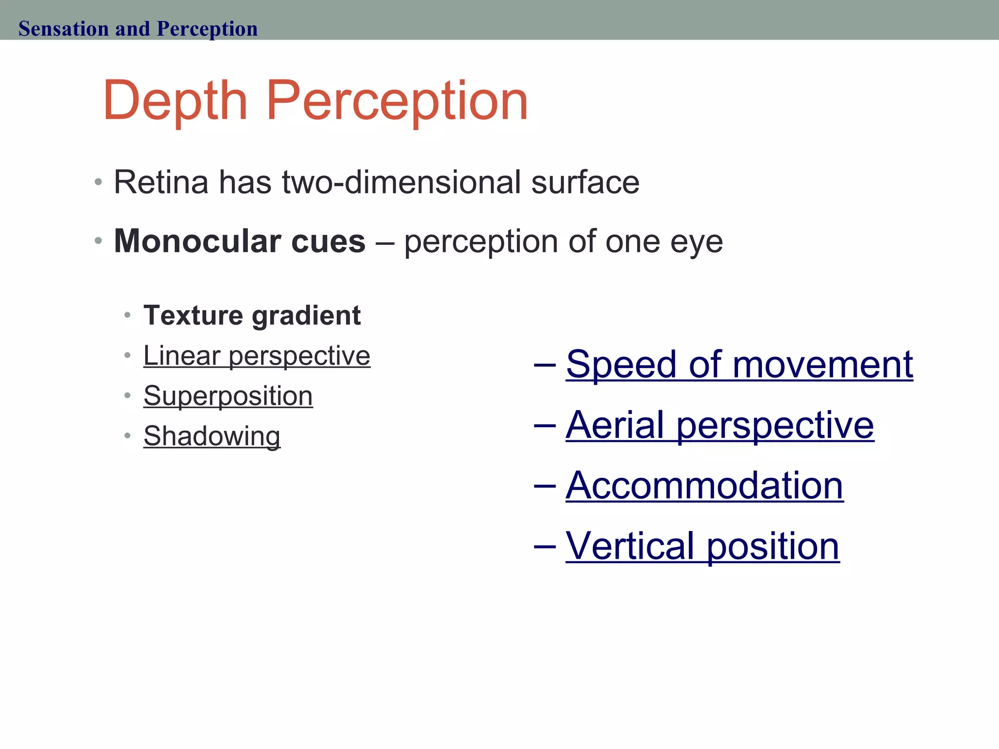Depth Perception Retina has two-dimensional surface Monocular cues  – perception of one eye Texture gradient Linear perspective Superposition Shadowing Sensation and Perception Speed of movement Aerial perspective Accommodation Vertical position 